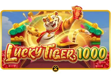 99cd